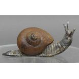 Wiener Bronze Schnecke mit Schneckenhaus, bemalt, wohl Wiener Bronze, um 1900, h 3 cm, b 7 cm,- - -