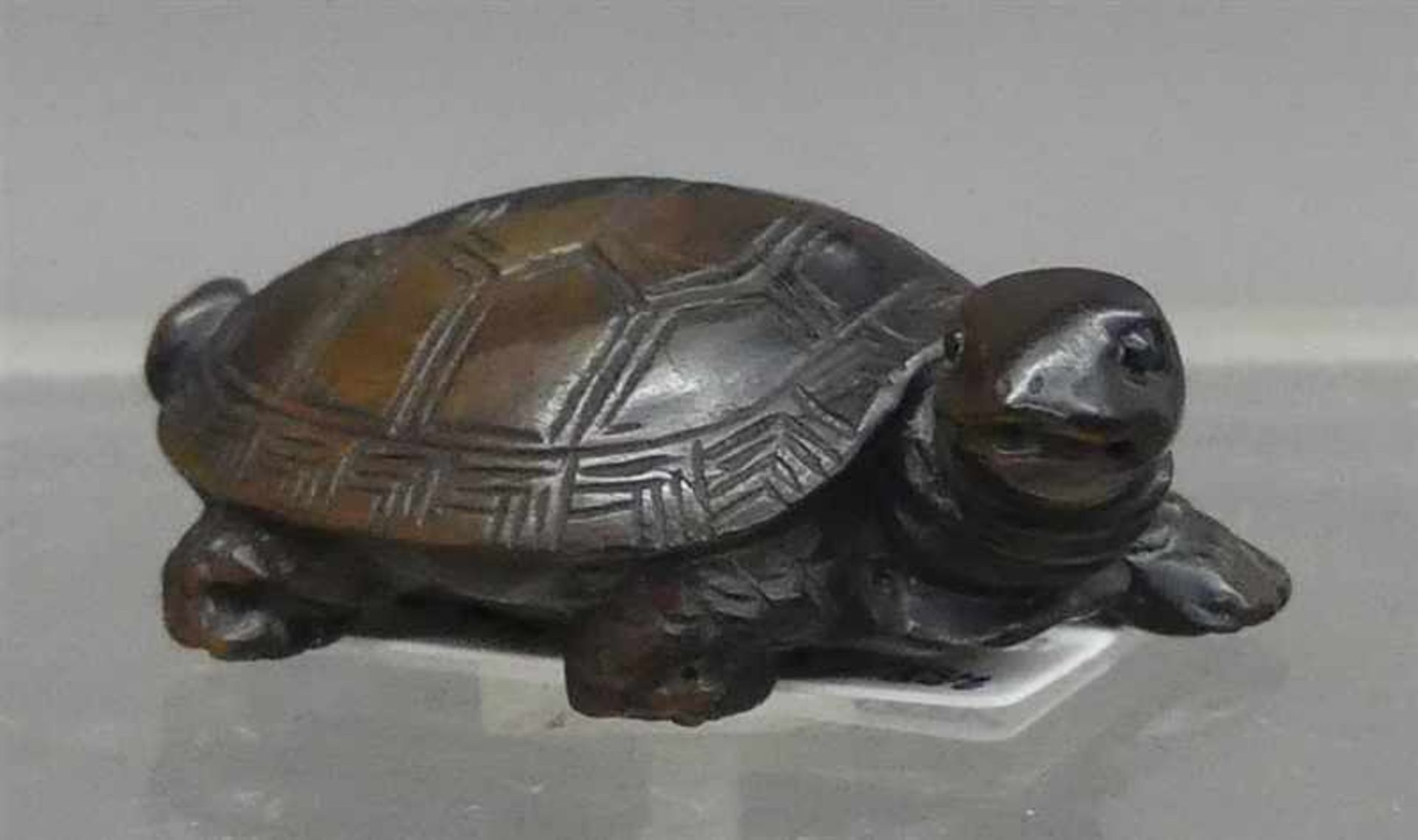 Netsuke China, Holz, geschnitzt, "Schildkröte", 20. Jh., l 5 cm,- - -20.00 % buyer's premium on