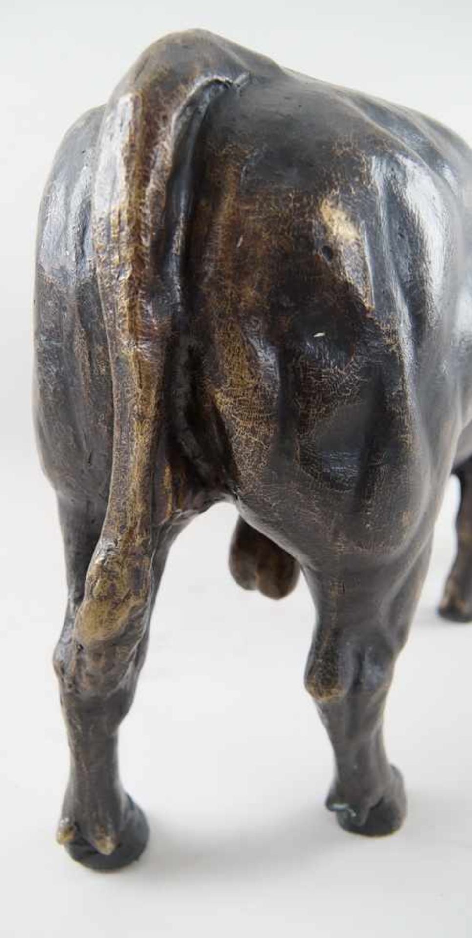 Zuchtbulle / muskulöser Stier, Bronze, unbekannter Bildhauer, 19. JH, 40x69x22cm- - -24.00 % buyer's - Bild 16 aus 19