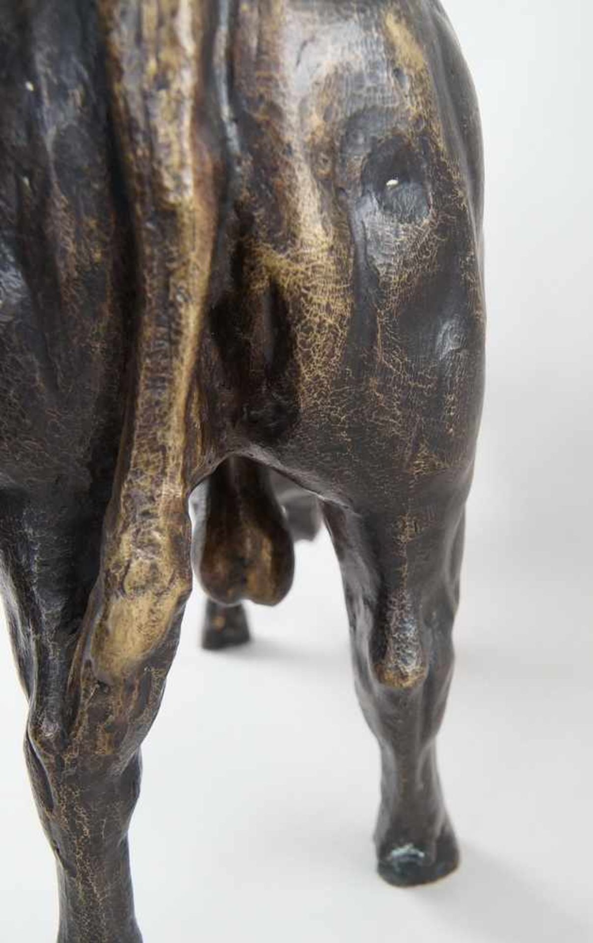 Zuchtbulle / muskulöser Stier, Bronze, unbekannter Bildhauer, 19. JH, 40x69x22cm- - -24.00 % buyer's - Bild 15 aus 19