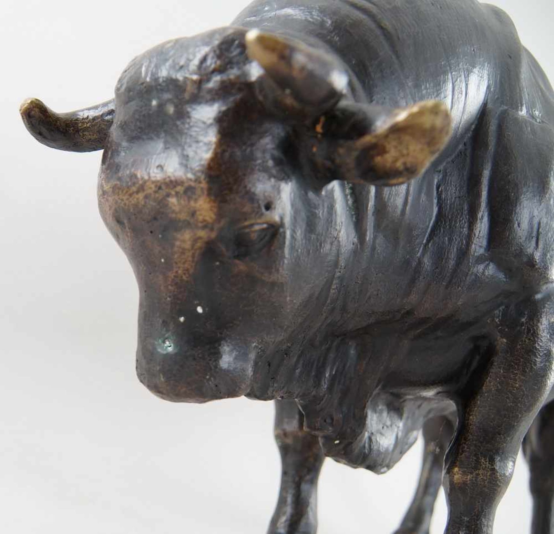 Zuchtbulle / muskulöser Stier, Bronze, unbekannter Bildhauer, 19. JH, 40x69x22cm- - -24.00 % buyer's - Bild 11 aus 19