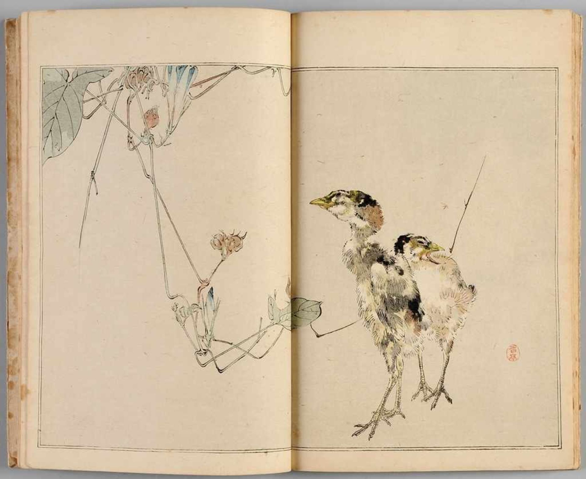 Watanabe, Seitei(auch Watanabe, Shotei, Edo 1851 - 1918) Kolorierter Holzschnitt. Bd. 1 des Albums