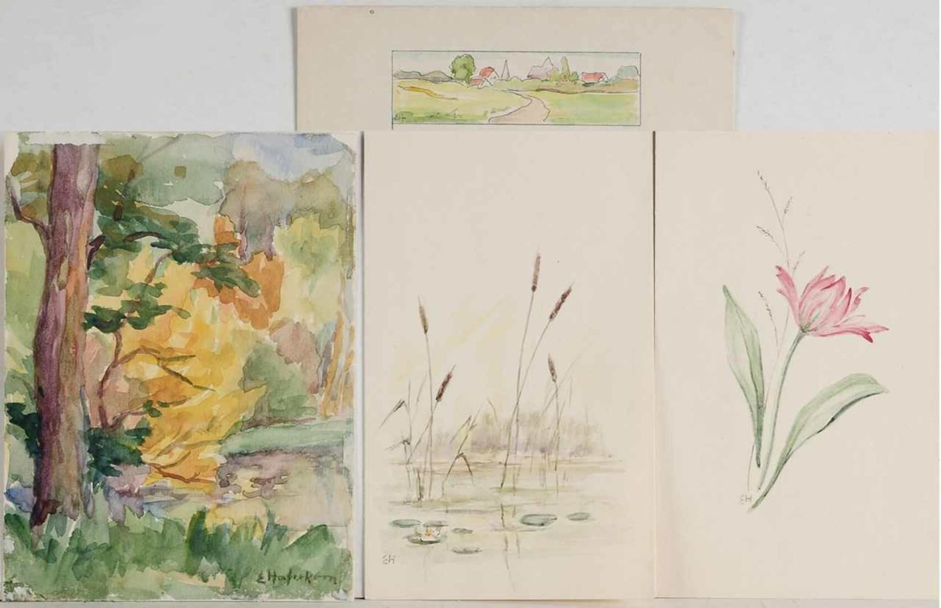 Haferkorn, Elisabeth(Leipzig 1886 - 1969) 4 Bl. Aquarell/ Papier. Landschafts- u. Pflanzenstudien. 1
