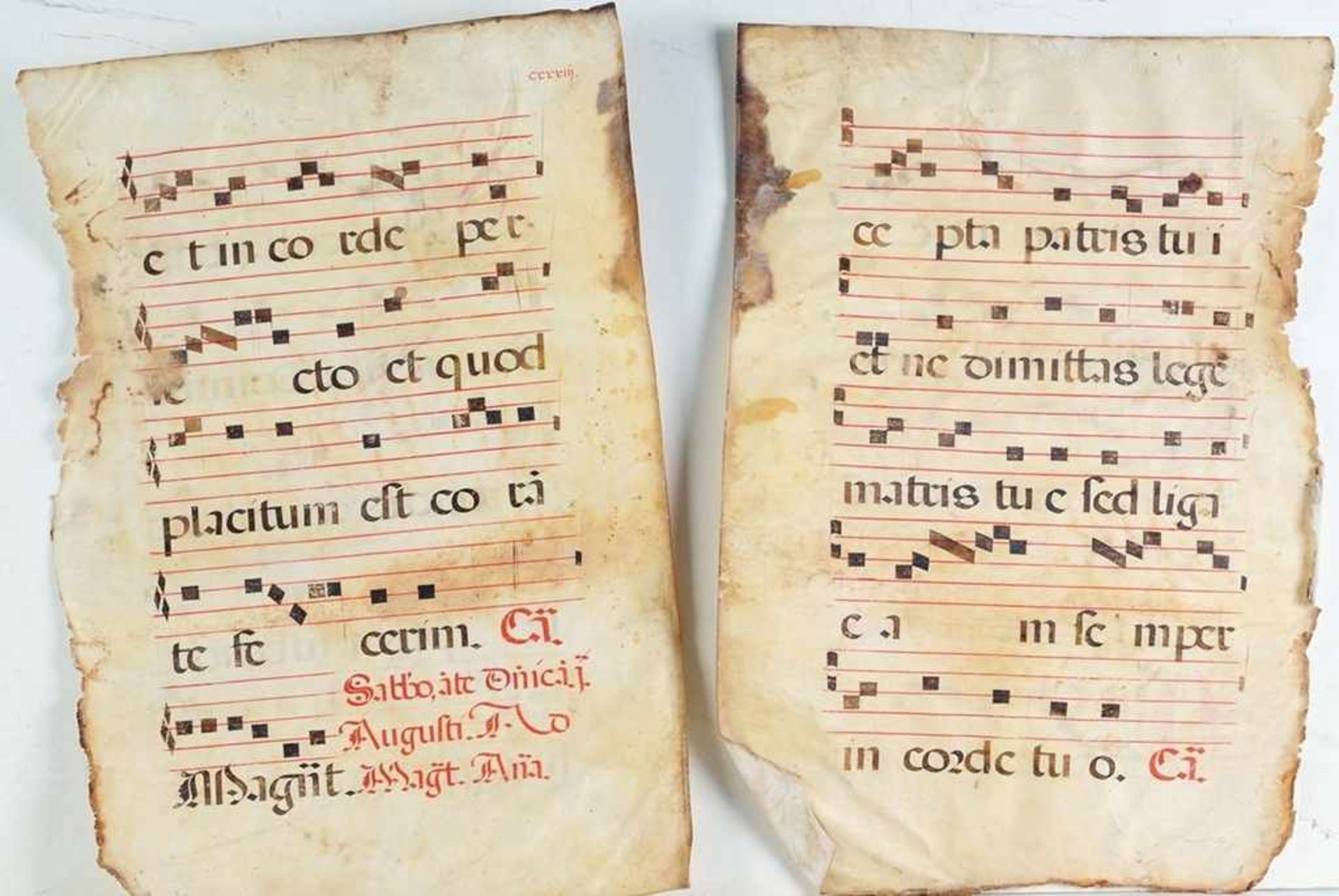 Paar AntiphonarblätterPergament, beidseitig mit liturgischen Noten-Handschriften in - Bild 2 aus 2