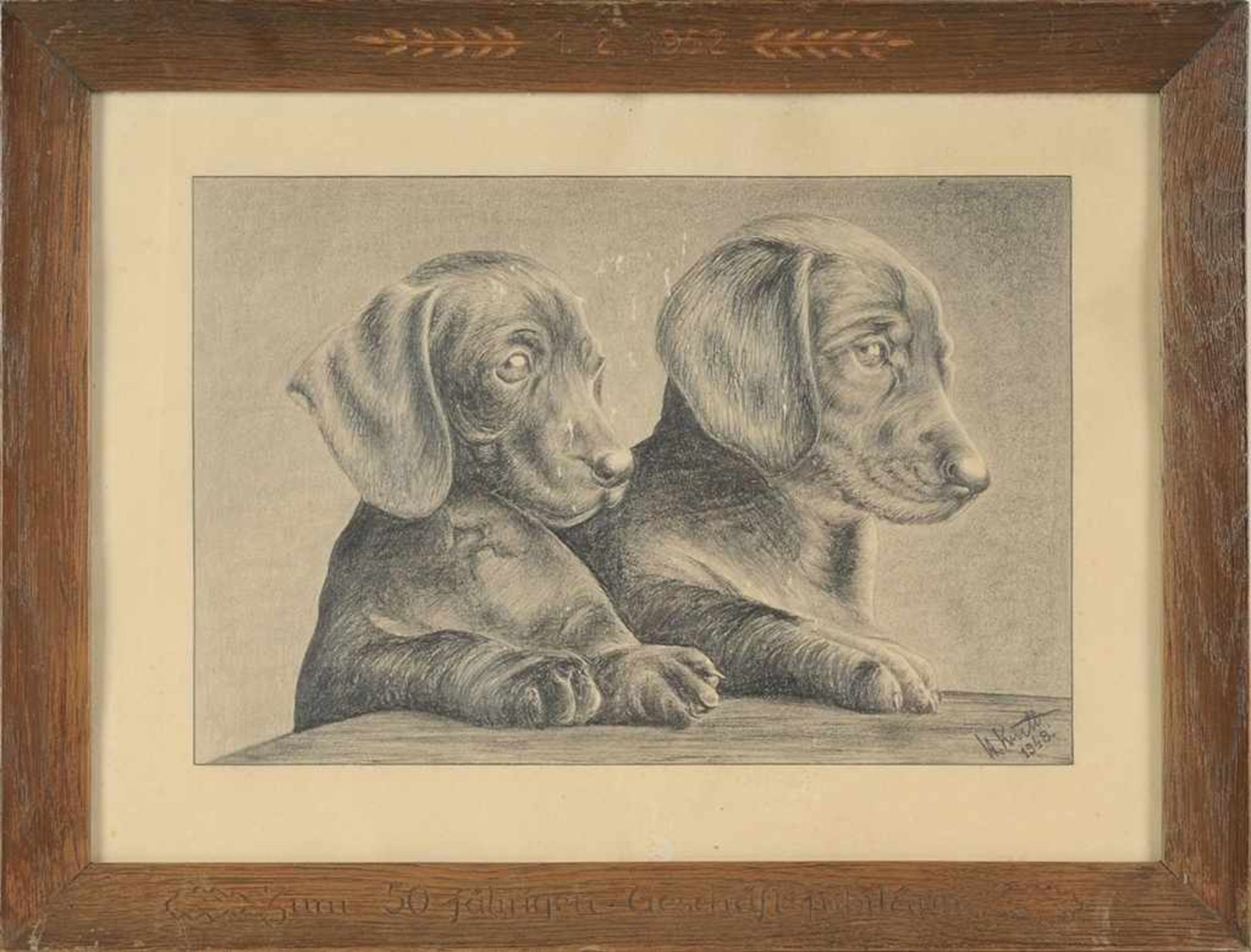 Zwei Tierzeichnungen(Deutsche Maler, M. 20. Jh.) Blei/Papier. Dackelpaar. L. u. sign. "K.A. Krull" - Image 2 of 3