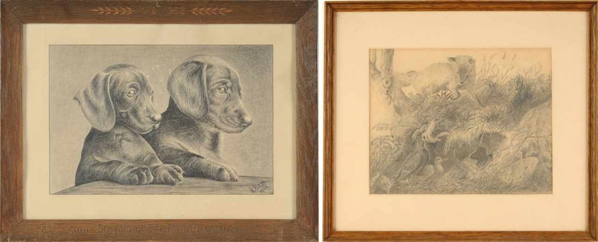 Zwei Tierzeichnungen(Deutsche Maler, M. 20. Jh.) Blei/Papier. Dackelpaar. L. u. sign. "K.A. Krull"