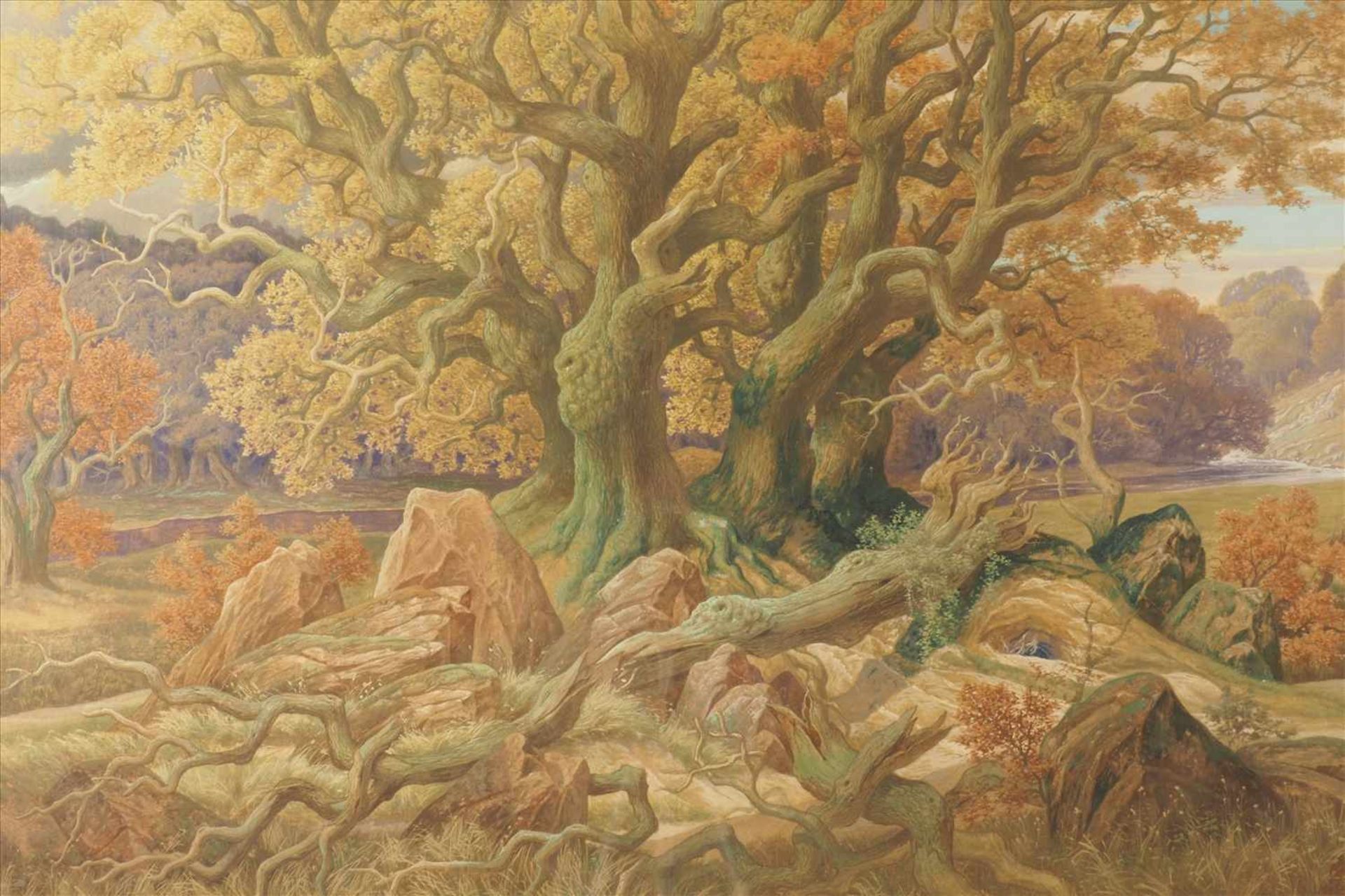 "Baum knorrige Eiche"Aquarell/Mischtechnik, sehr fein gemalt, sign. H. Rudolph, hinter Glas und - Bild 2 aus 3