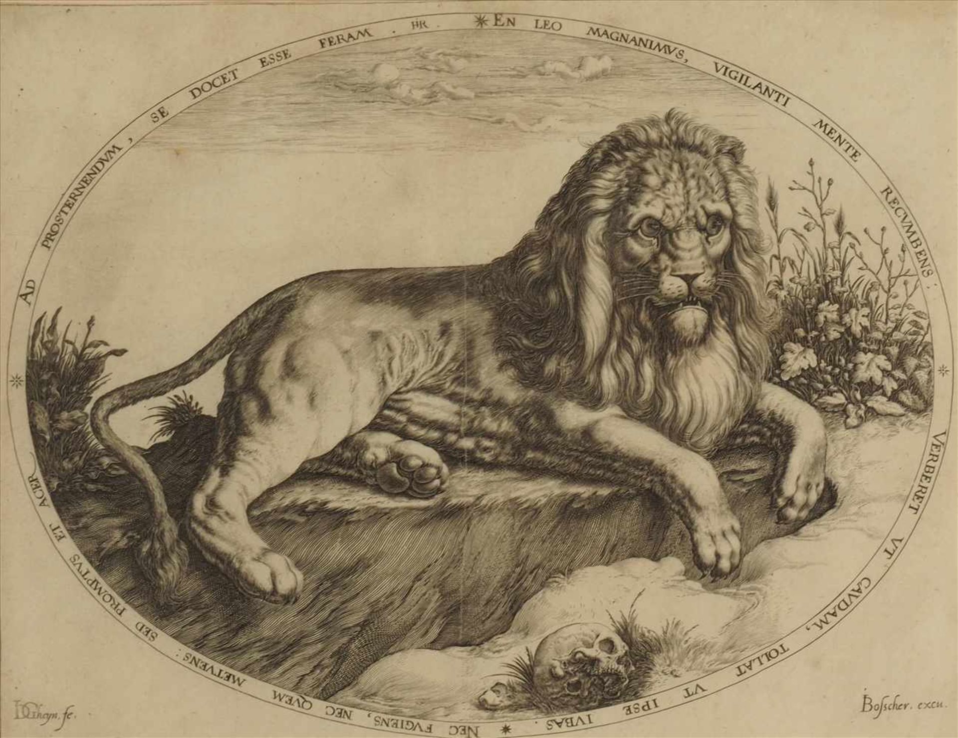"Der grosse Löwe"Kupferstich, Jacques II DE GHEYN (1565-1629)Maße Stich: 34,2 x 27cmMaße Rahmen: - Bild 2 aus 6