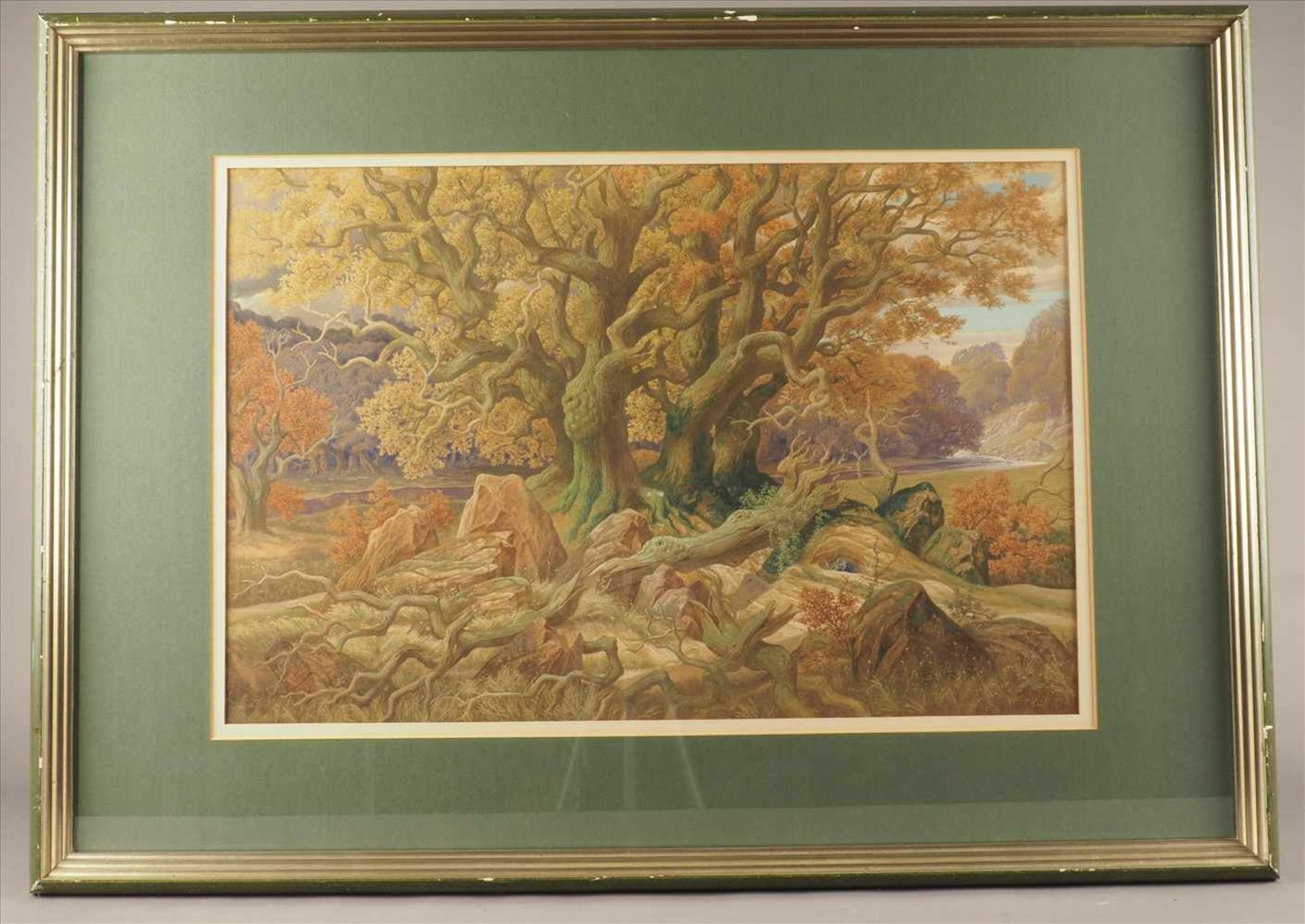 "Baum knorrige Eiche"Aquarell/Mischtechnik, sehr fein gemalt, sign. H. Rudolph, hinter Glas und
