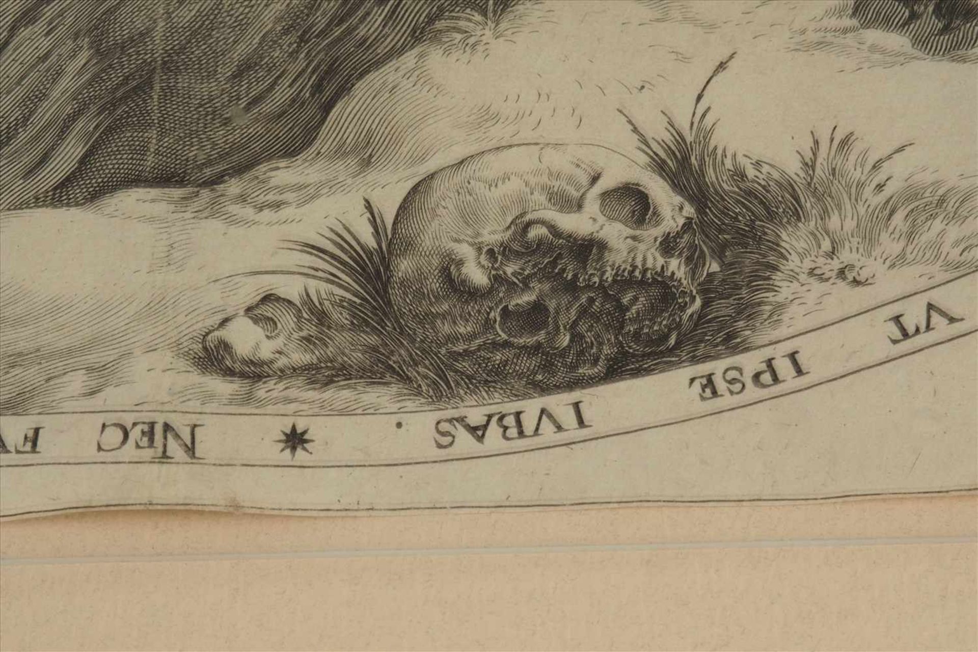 "Der grosse Löwe"Kupferstich, Jacques II DE GHEYN (1565-1629)Maße Stich: 34,2 x 27cmMaße Rahmen: - Bild 5 aus 6