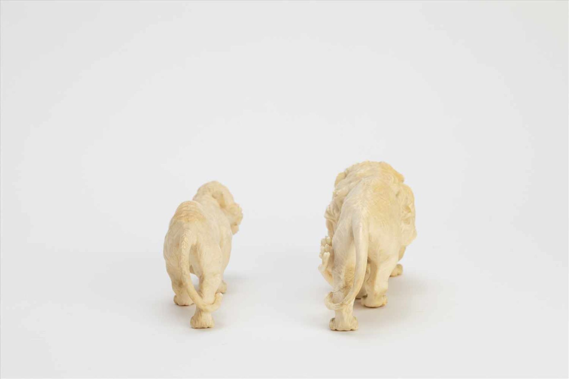 Paar fein geschnitzte Elfenbein Löwen19. Jh., fein geschnitzte Figuren einer Löwin und eines Löwen - Bild 3 aus 8