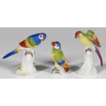 Drei Miniatur-Papageienin äußerst naturalistischer Ausformung und Staffage. Polychrome Malerei.