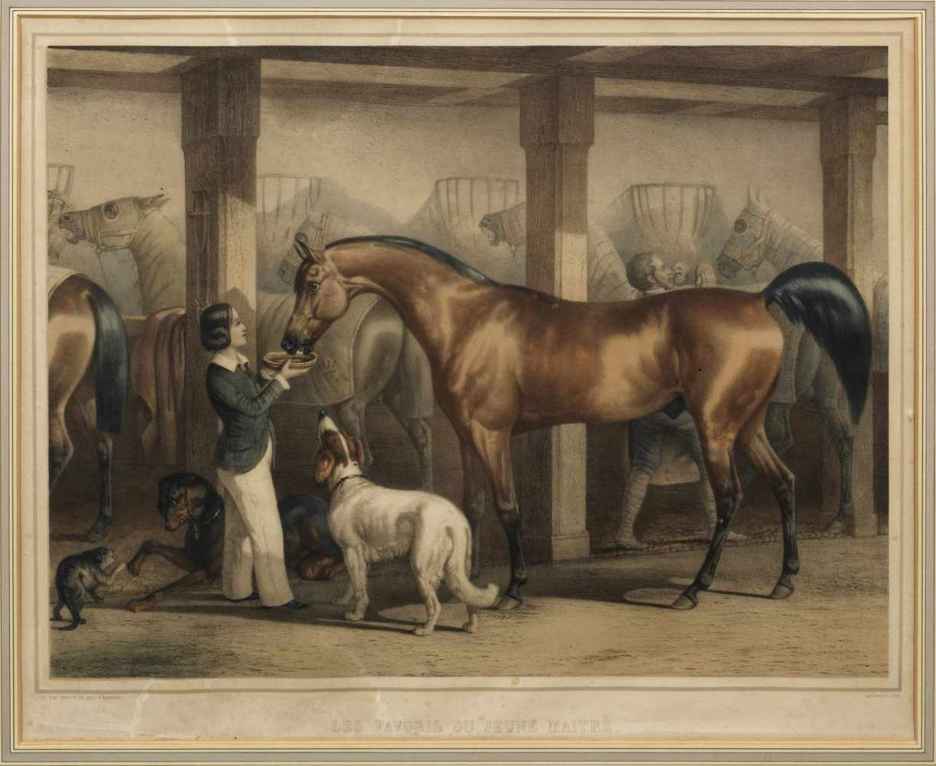 G. d'Ammonde(Französischer Lithograph und Zeichner. Tätig um 1846-1866)Zwei Blätter mit Pferde-und - Bild 2 aus 2