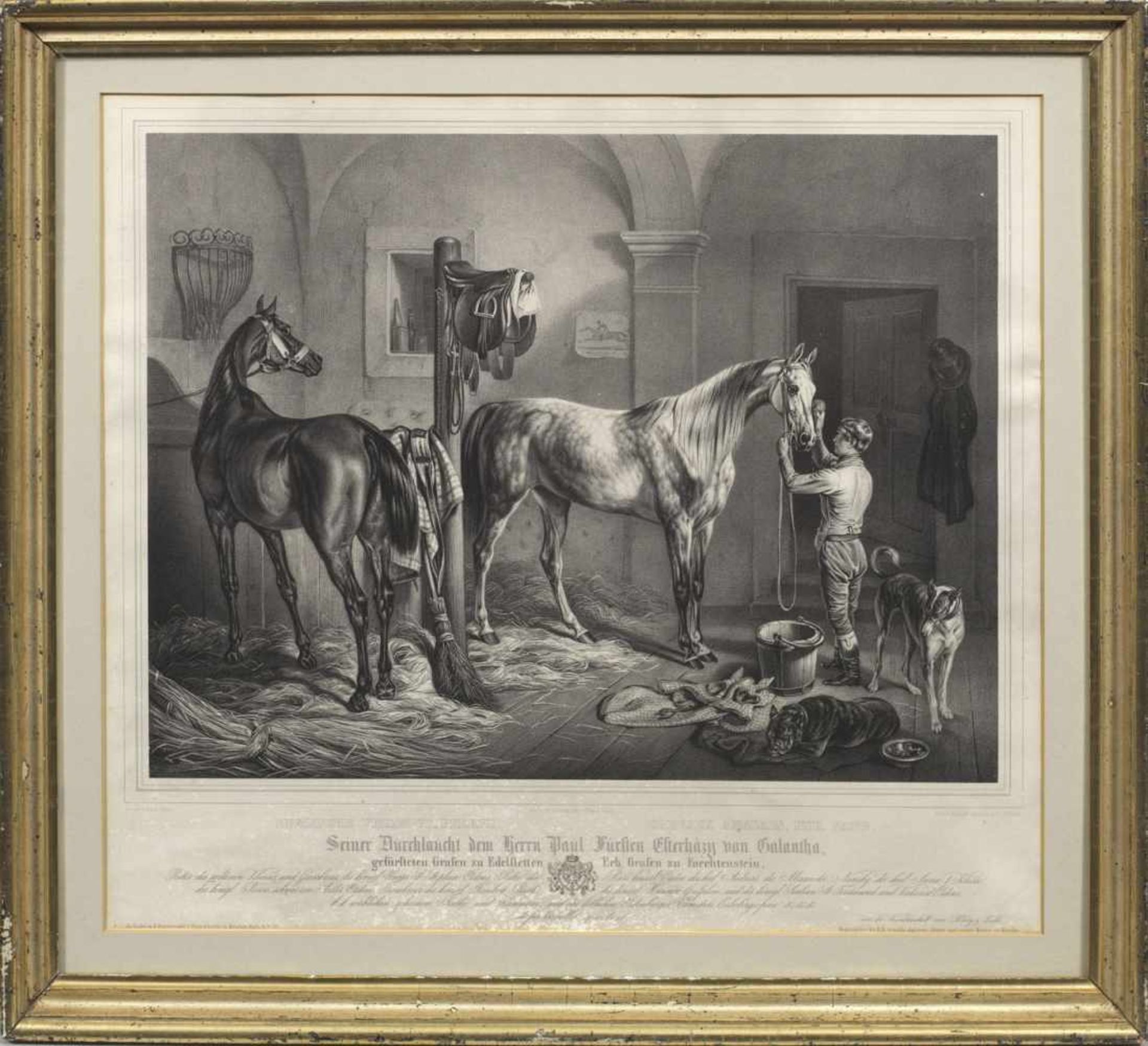 Franz Adam(1815 Mailand - 1886 München) nach"Englische Vollblut-Pferde". OriginaltitelLithographie
