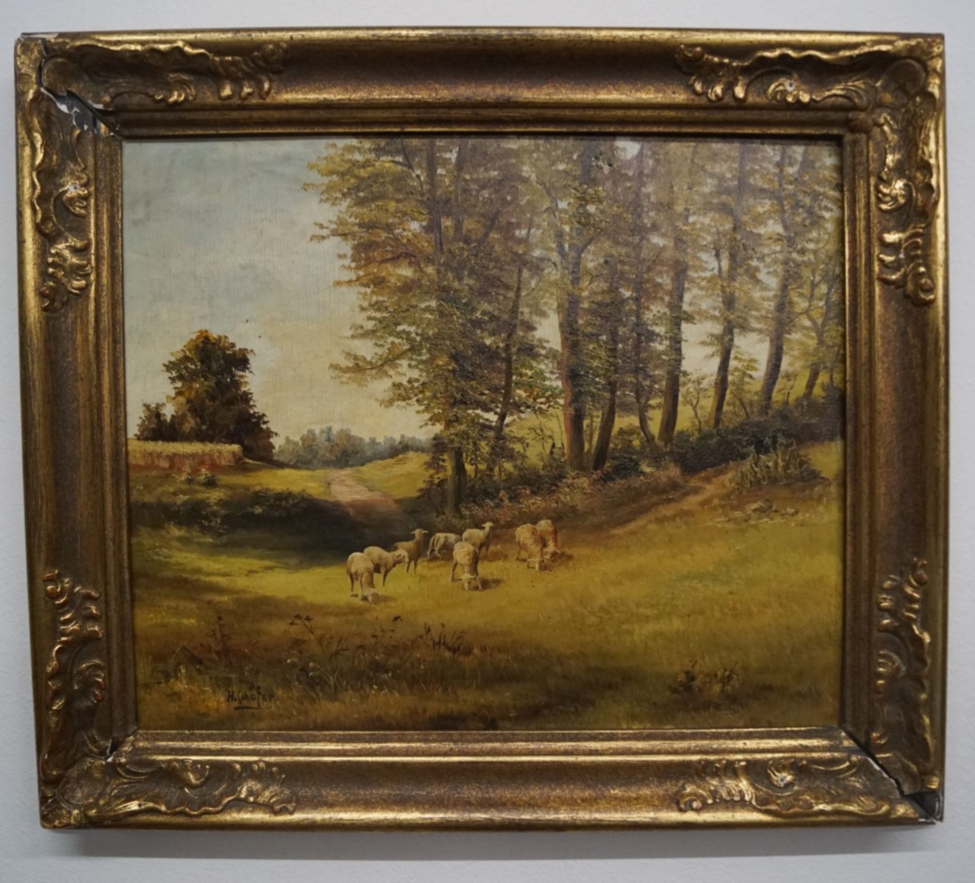 "Schafe auf einer Weide, H. SchäferÖl/Leinwand, unten links signiert, Rahmen, Maße mit Rahmen Höhe