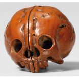 A walnut netsuke of a skull. 19th centuryWith large eye sockets and long incisors, the natural