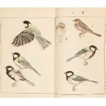 Kôno Bairei (1844-1895) and Takeuchi Seihô (1864-1942)Three illustrated books. Two by Kôno Bairei (