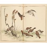 Imao Keinen (1845-1924)37 x 25.6 cm. Illustrated books. 4 vols., complete. Title: Keinen kachô gafu.