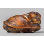A boxwood netsuke of a tortoise and a monkey. First half 19th centuryClimbing over the carapace of a