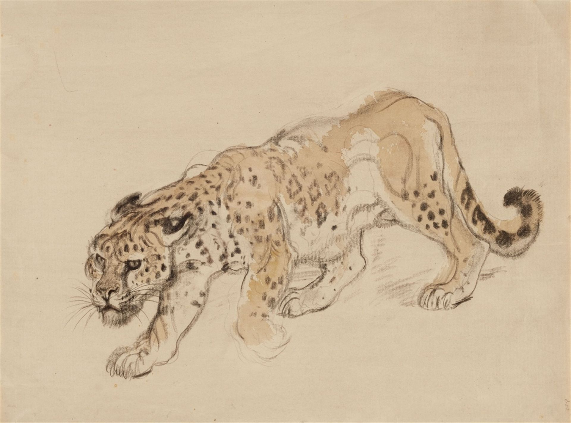 Schleichender LeopardAquarell über Kohle auf Papier. Monogrammiert unten rechts lhj. 35,5 x 47,5 cm.