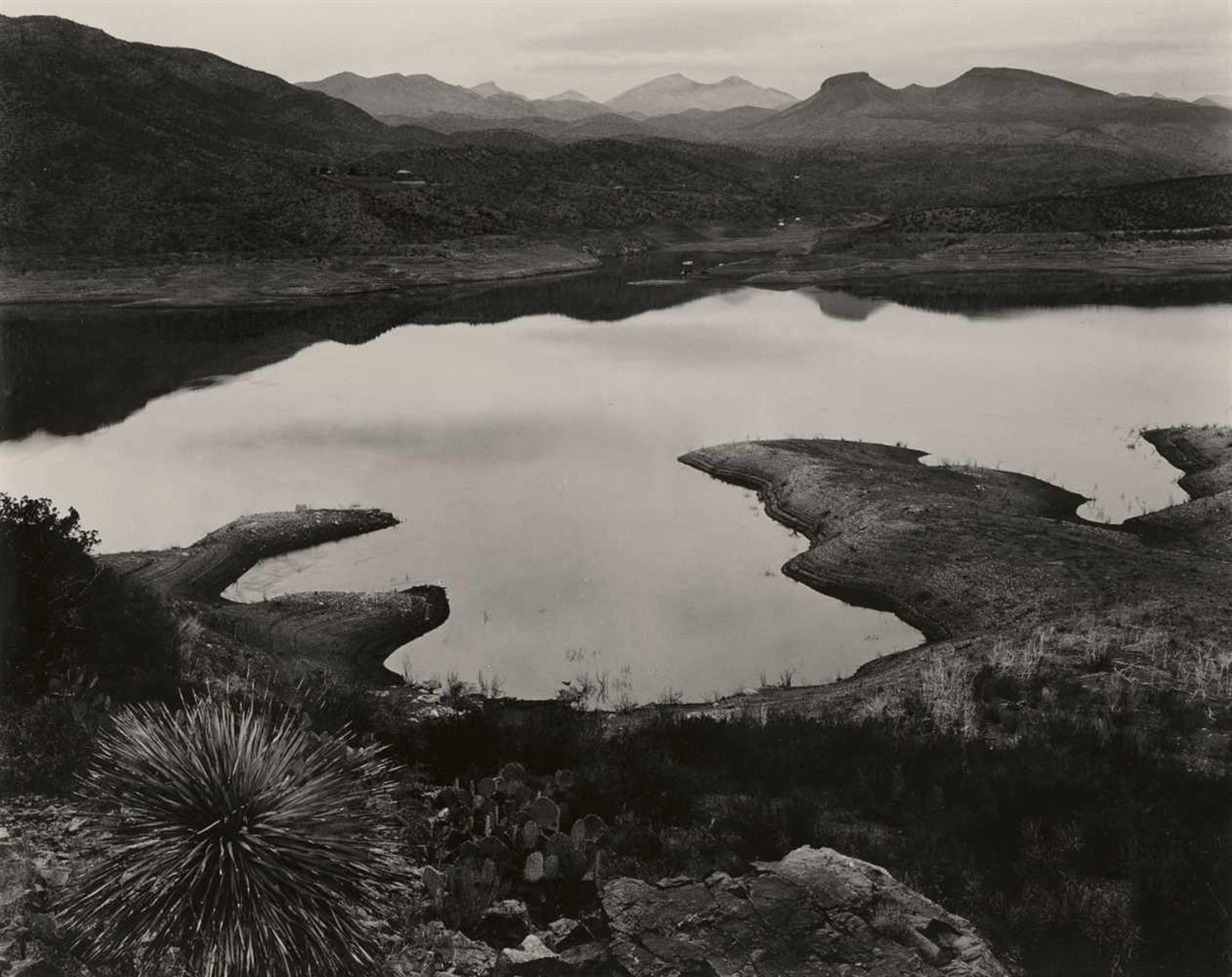 Edward WestonSan Carlos Lake, Arizona