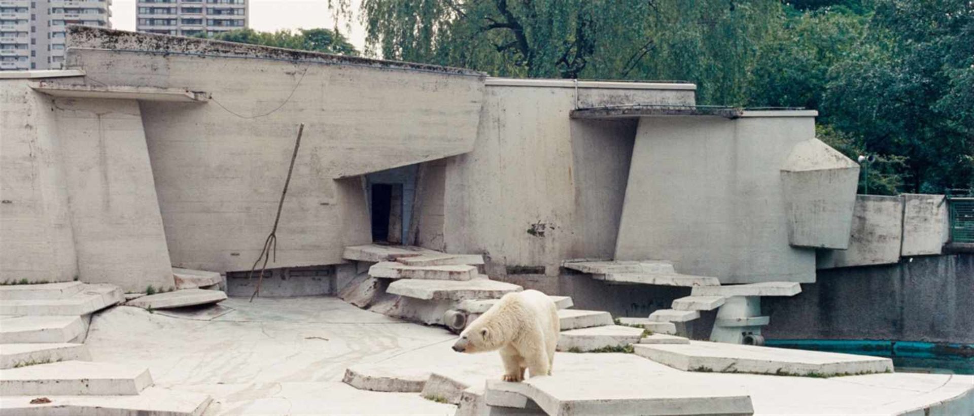 Candida HöferZoo Köln I<b