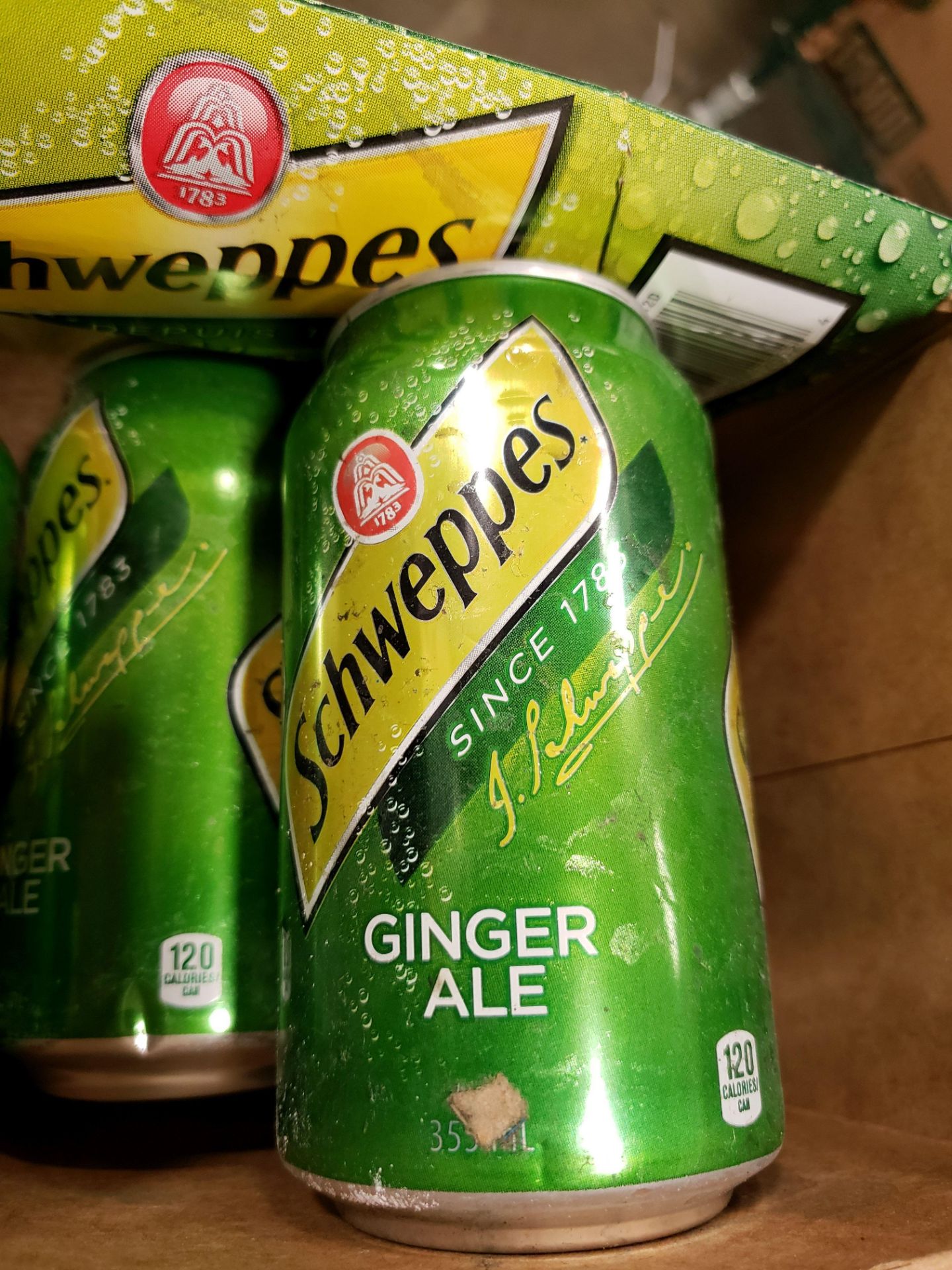 Schweppes Ginger Ale - 10 x 355ml Cans