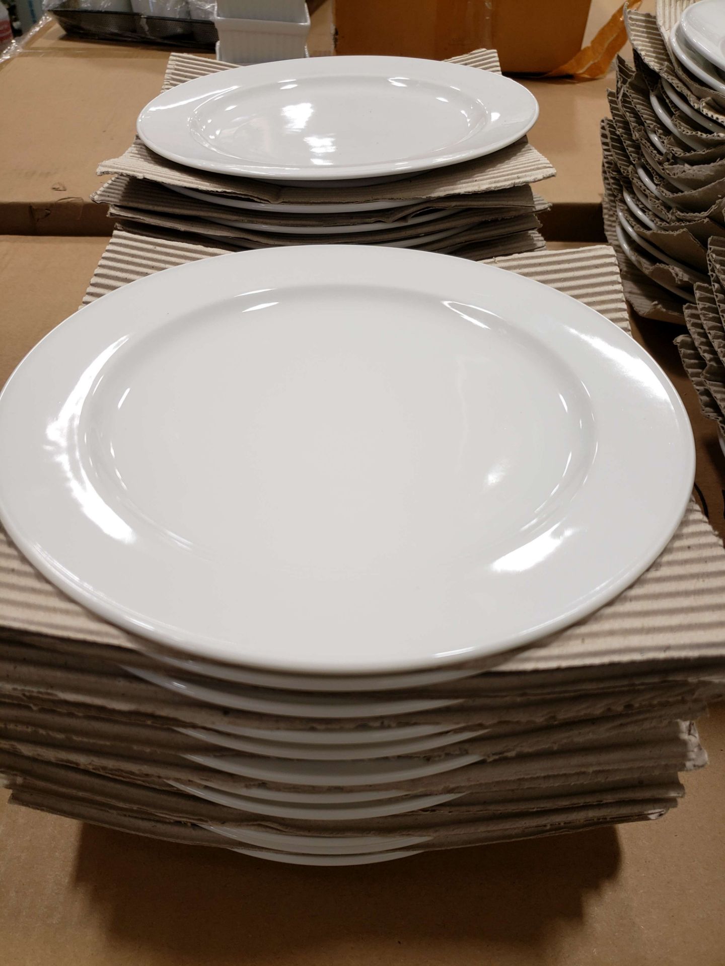 9.25" Puddifoot "Nikko" Plates - Lot of 24