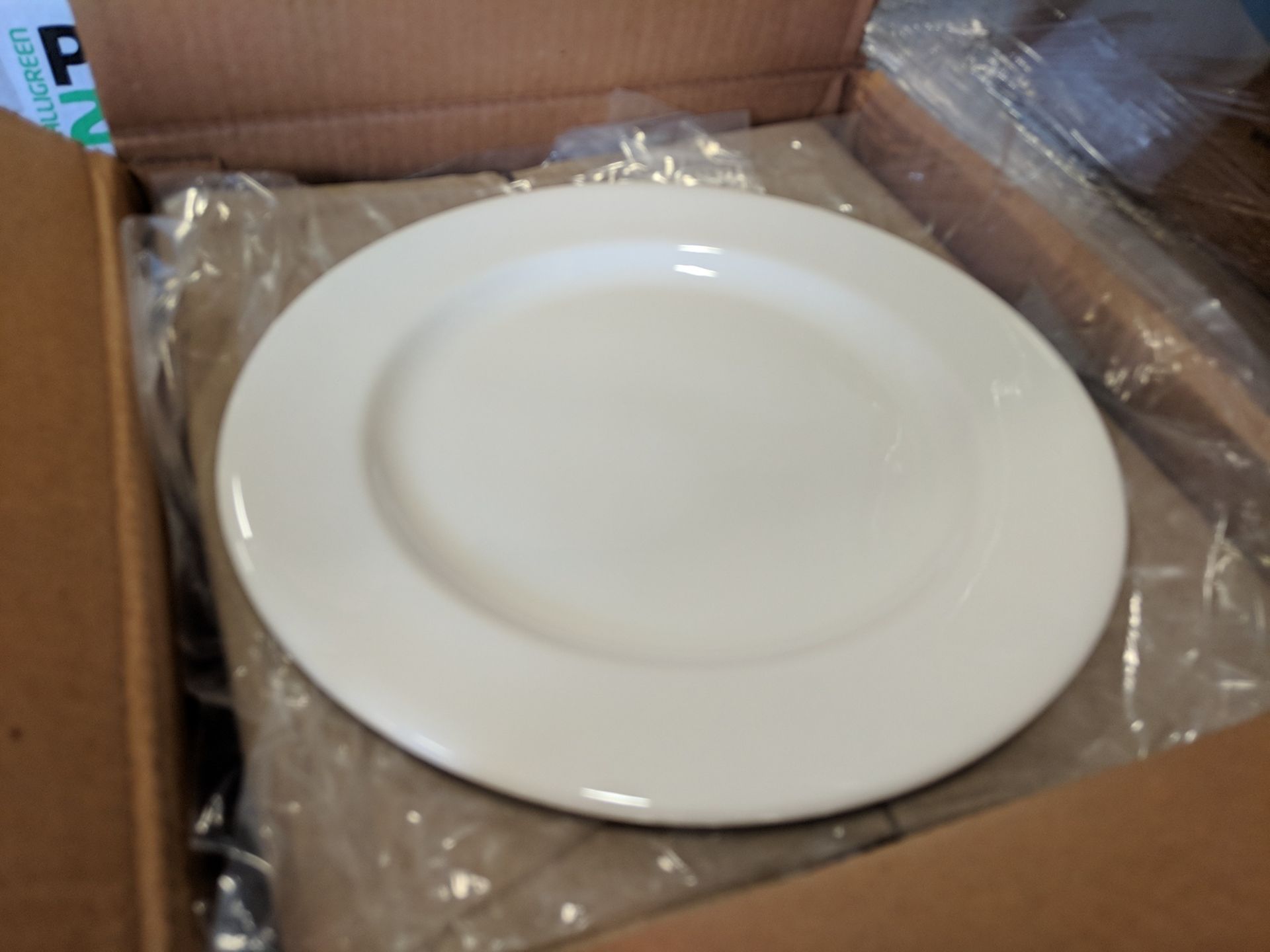 10" Plates, Royal Doulton IJUPIT00094 - Lot of 12 (1 Case)