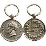 Bene Merenti Medal, 2nd Type, 2nd Class, Instituted in 1876.