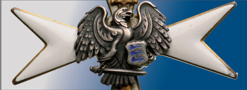 CROSS OF THE DEFENSE LEAGUE - Image 4 of 4