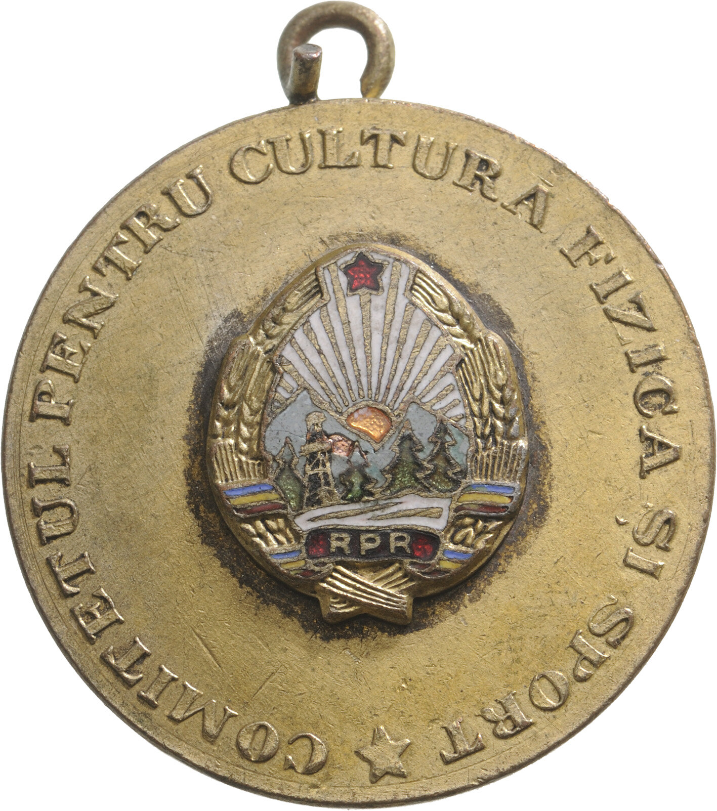 Culture and Sports Comitee Badge