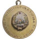 Culture and Sports Comitee Badge