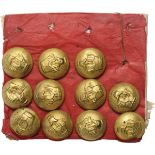 Lot of 200 military Buttons, md 1930