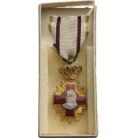 Sanitary Merit Medal, 1st Class, 1913