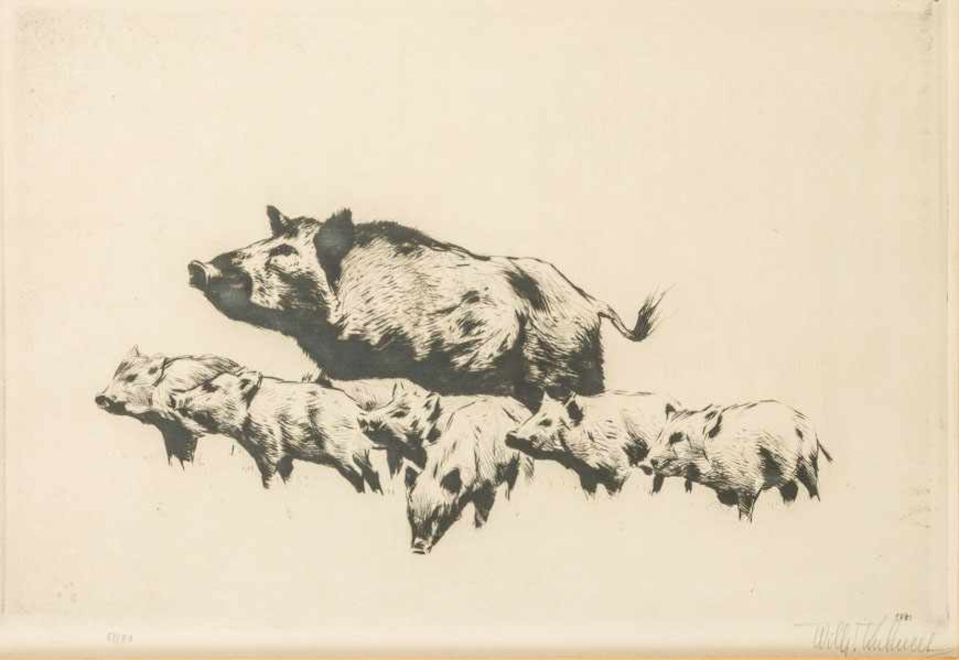Kuhnert, Wilhelm (Oppeln, Flims/Graubünden 1865-1926)Wildschweine – Bache mit
