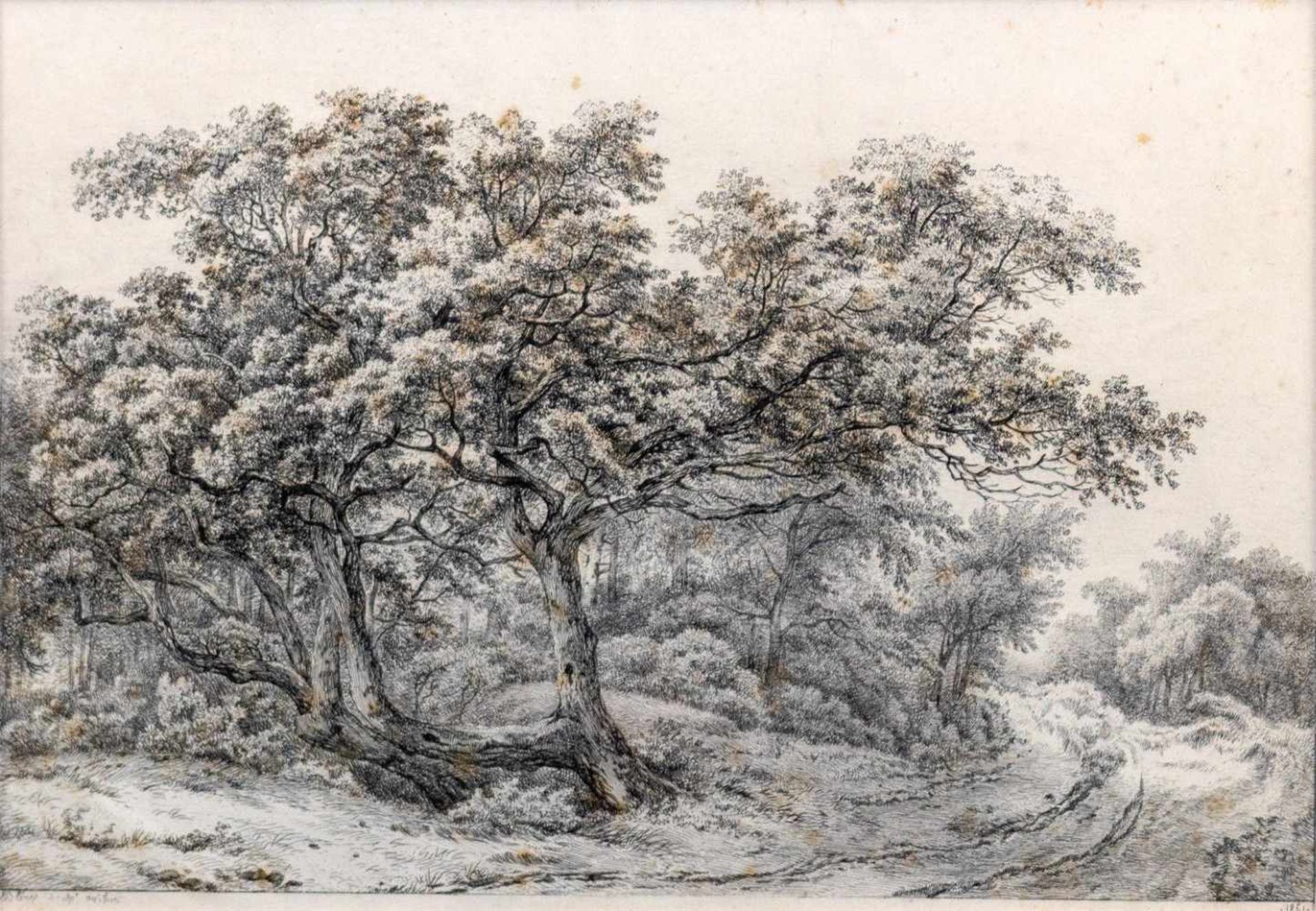 Bléry, Eugène (Fontainebleau, Paris 1805-1887)Landschaft mit Weg und knorrigem Baum1851Radierung. In