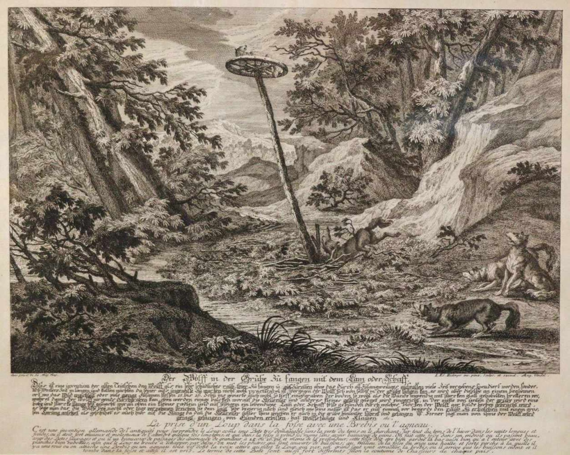 Riedinger, Johann Elias (Ulm, Augsburg 1698-1767)Zwei JagdsticheDer Wolf in der Grube zu fangen