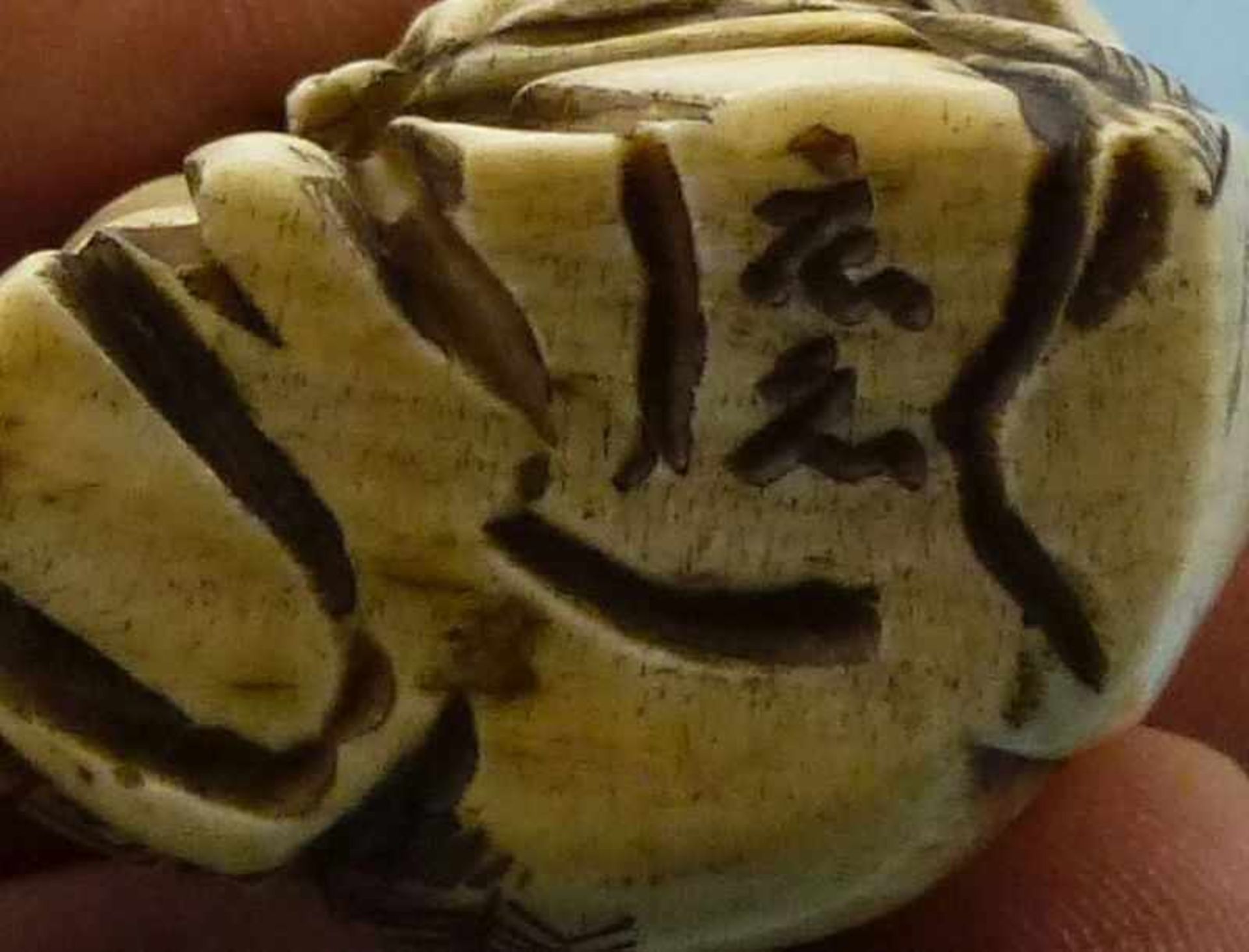 Netsuke, Japan, 1.Hälfte 20.Jh. Bein geschnitzt, Hockender mit Schildkröte, Sign., H 4cm - Bild 2 aus 2