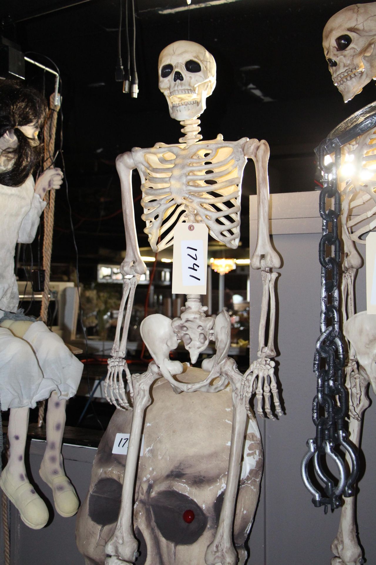 Halloween décor - skeleton