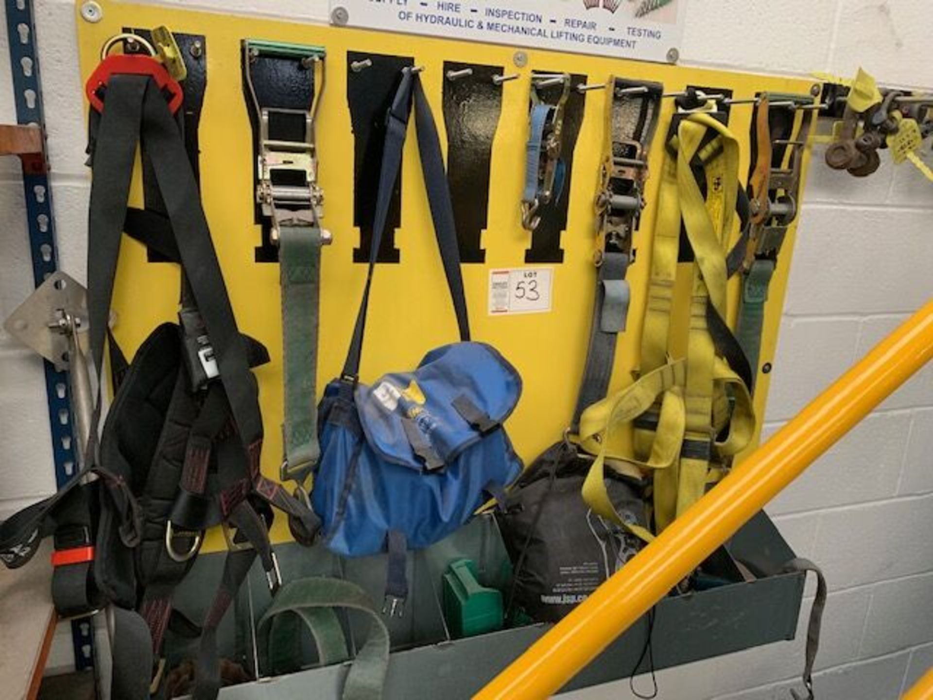 Assortment of SAFETY HARNESSES, RATCHET STRAPS, SLINGS, EYE BOLTS and SHACKLES - Image 2 of 4