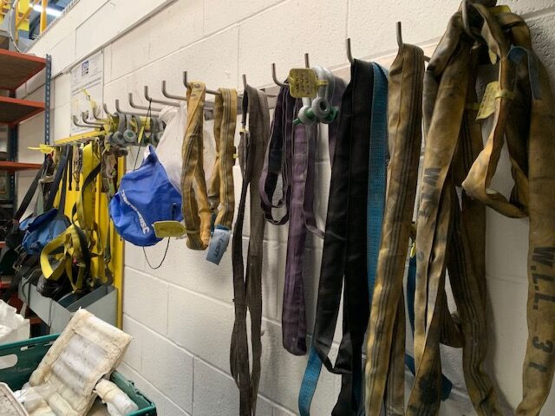 Assortment of SAFETY HARNESSES, RATCHET STRAPS, SLINGS, EYE BOLTS and SHACKLES - Image 4 of 4