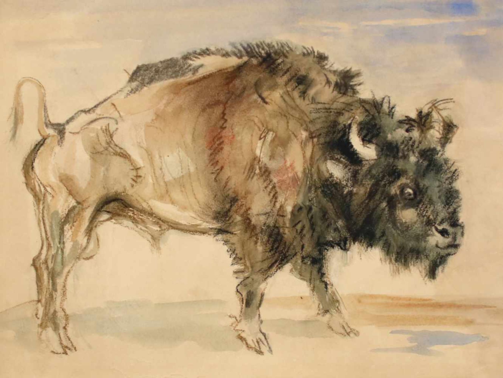 Ludwig Heinrich Jungnickel(1881 - 1965)"Bison"Kohle und Aquarell auf PapierNachlassstempel,