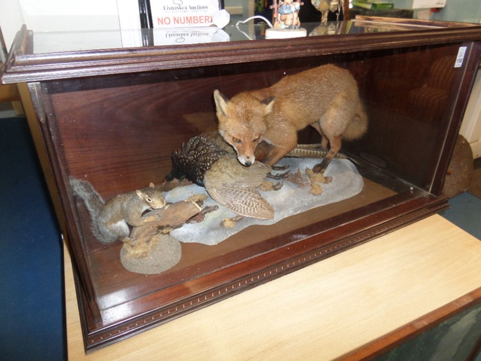 TAXIDERMY OF FOX CATCHING PHEASANT & TAXIDERMY SQUIRREL IN DISPLAY CABINET