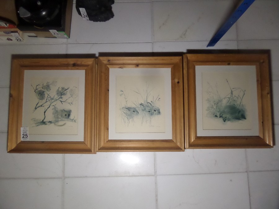 3X PINE FRAMED ANIMAL PRINTS