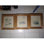 3X PINE FRAMED ANIMAL PRINTS