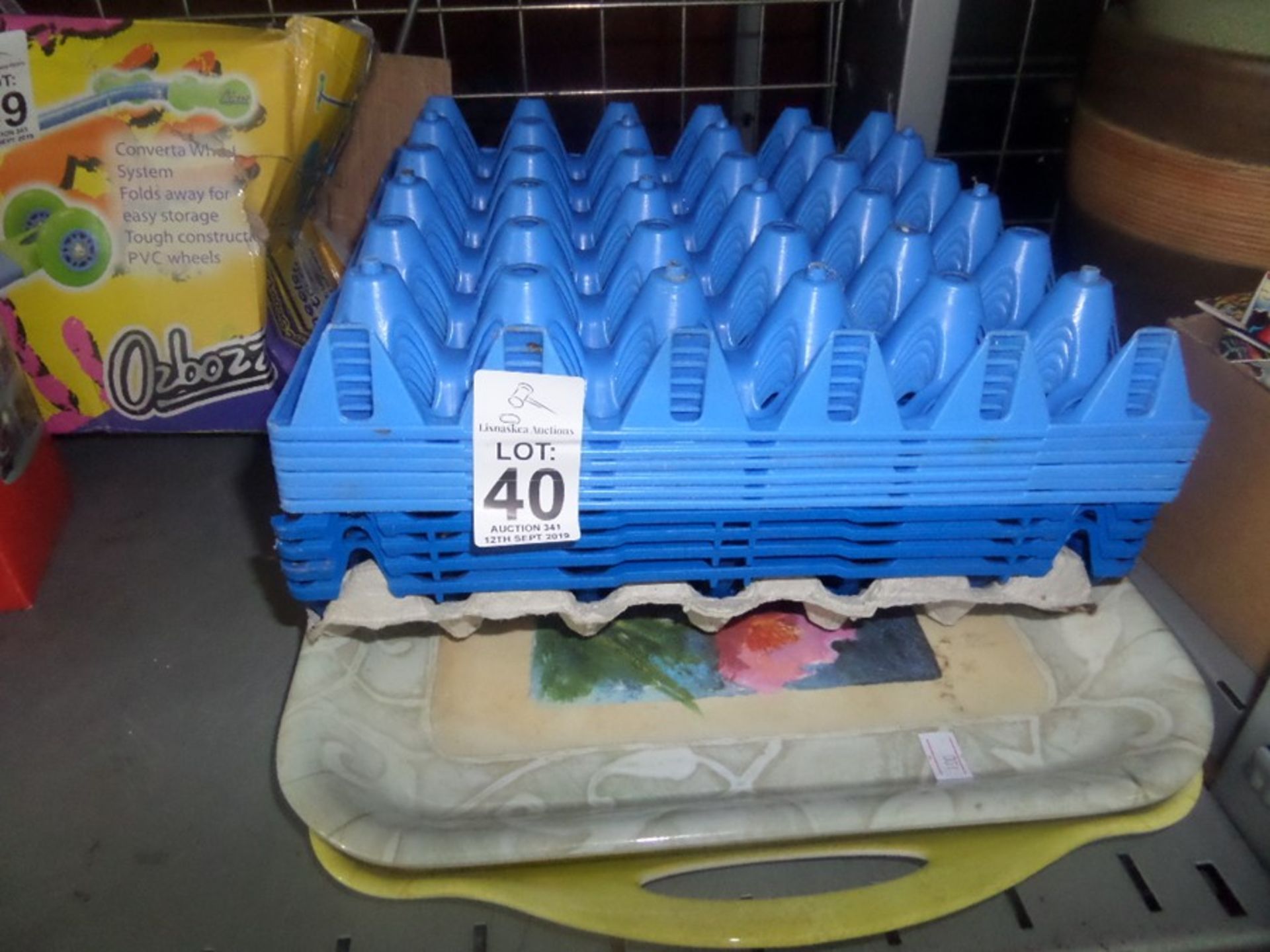 LOT OF TRAYS AND EGG TRAYS