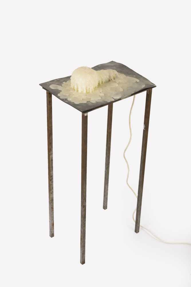 Export, ValieWax Lamp, 1974installation30,7 x 13,8„The art is able to express the dynamic,