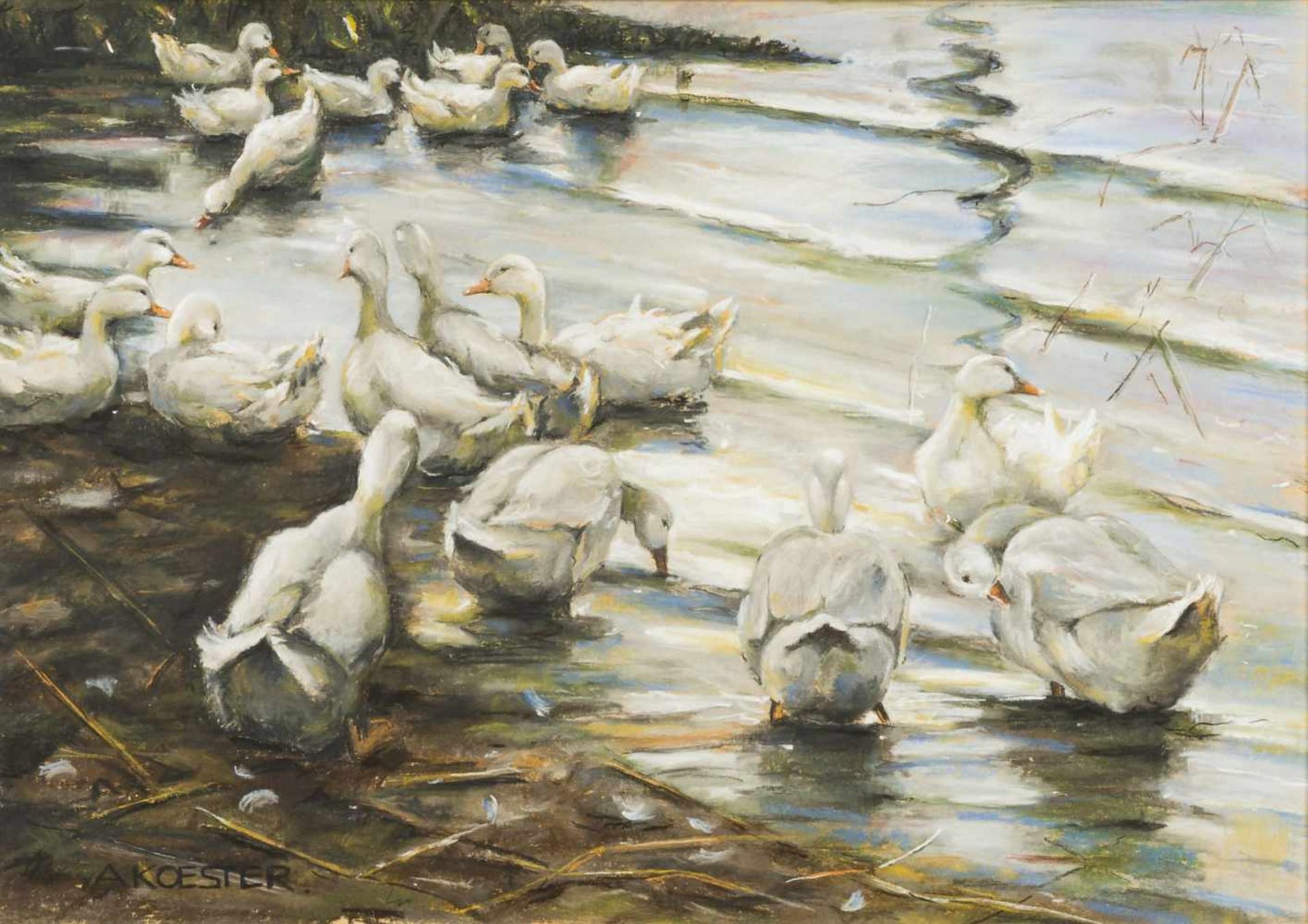 Koester, AlexanderDucks in the Swiss BodenseeSoft pastels on paperLower left signed17,7 x 24,