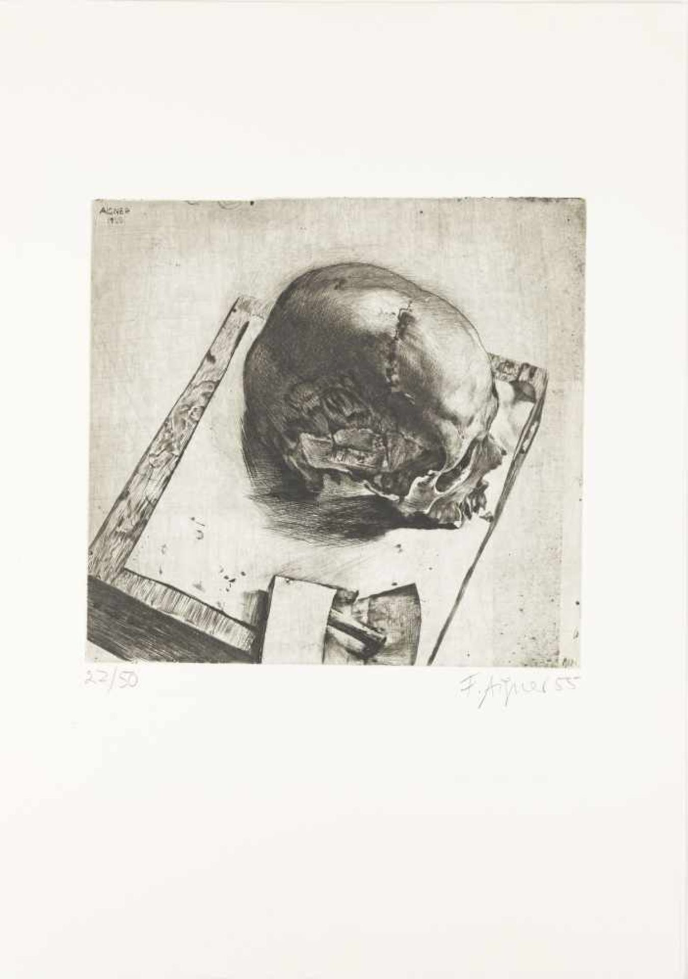 Aigner, Fritz Skull, 1955 Dry point etching on copper plaque Lower right signed and dated, lower - Bild 2 aus 4